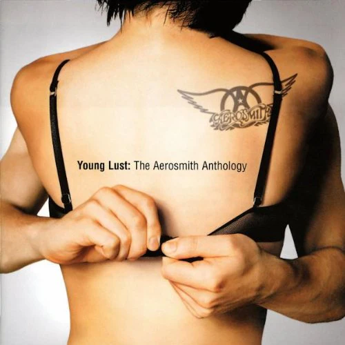Aerosmith - Young Lust - The Aerosmith Anthology: Best of (2 CD) Music CD)