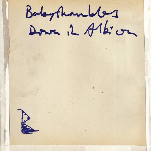 Babyshambles - Down In Albion (Music CD)