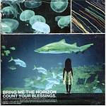 Bring Me The Horizon - Count Your Blessings (Music CD)