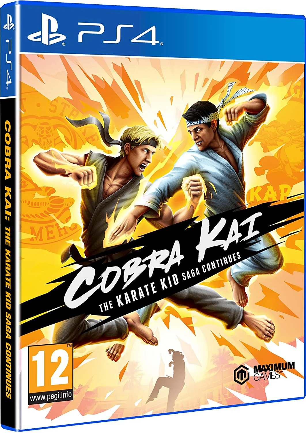 Cobra Kai: The Karate Saga Continues (PS4)