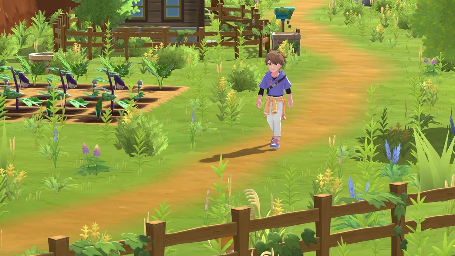 Harvest Moon: Home Sweet Home - Special Edition (PS5) - Image 2