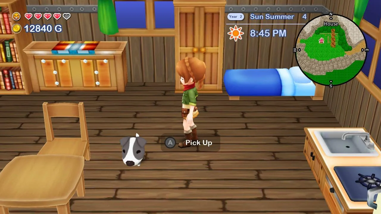 Harvest Moon: The Lost Valley and Skytree Village (Nintendo Switch) - Image 6