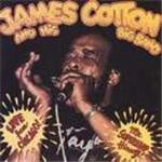 James Cotton - Live From Chicago (Mr Superharp Himself)