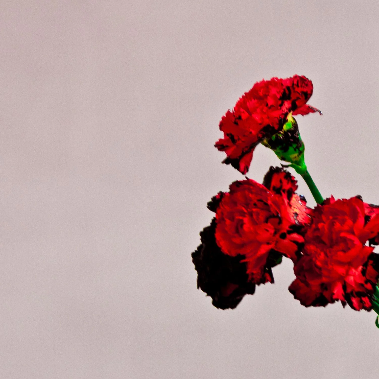 John Legend - Love in the Future (Music CD)