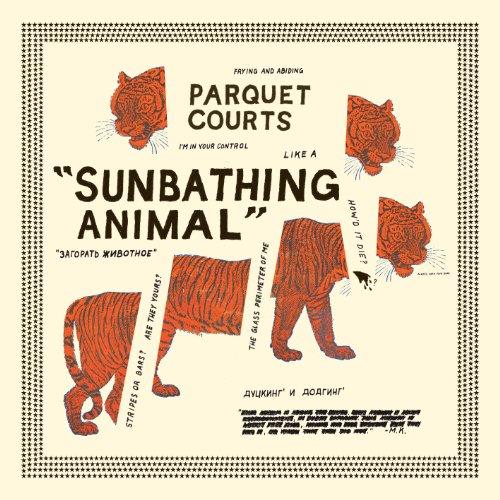 Parquet Courts - Sunbathing Animal (Music CD)